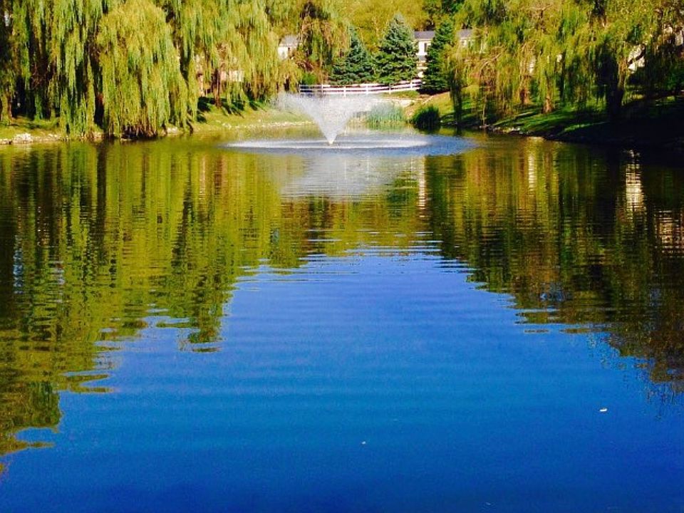 Shared Pond 
Fishing / Catch and release