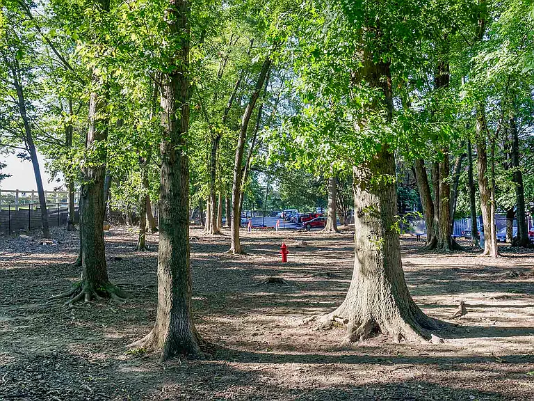 2 on-site, fenced-in dog parks to let your furry friends run free