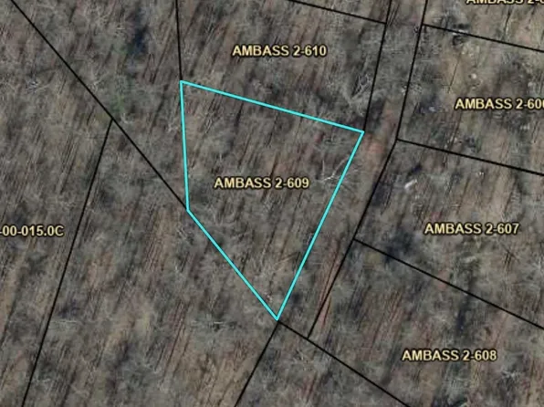 609 Ambassador Shores Dr, Leitchfield, KY 42754