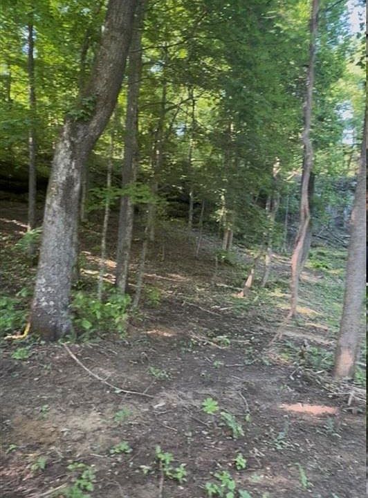 2nd image of 133-135 Wilderness Rd