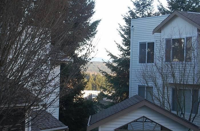 View from the living room