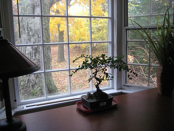 Living Room Bay Window