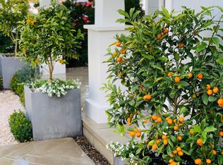 428 Orchid Ave, Corona Del Mar, CA 92625