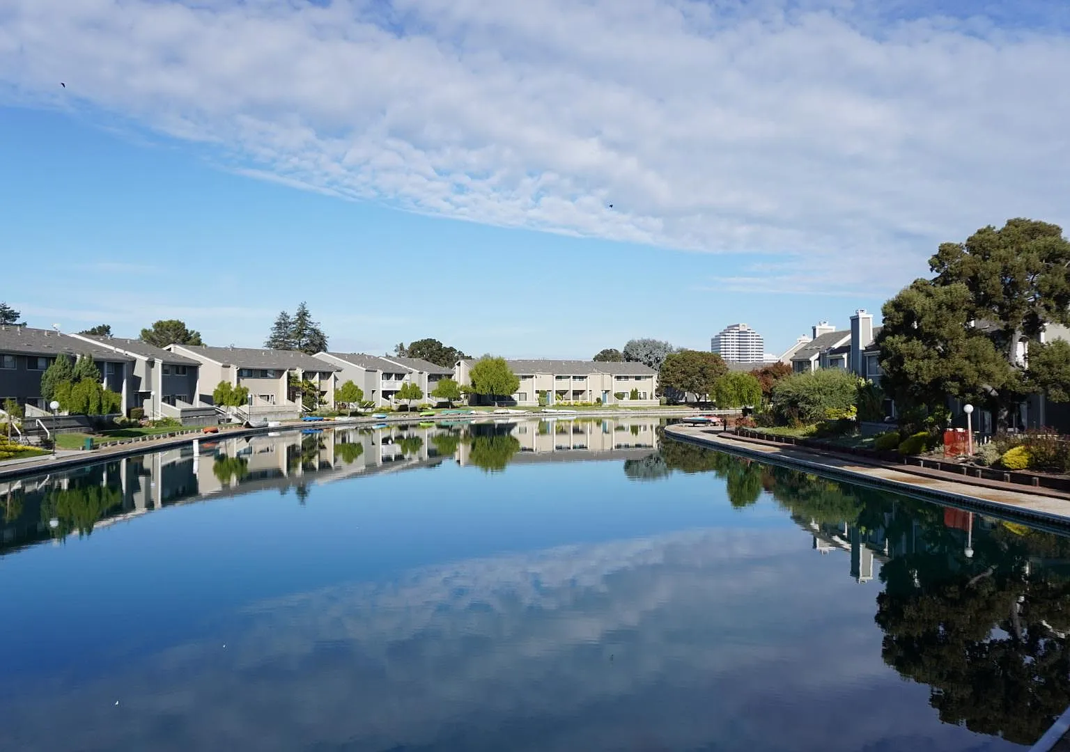 3 bed, 2.5 bath, 1618 sqft, $5,250 — Photo 1