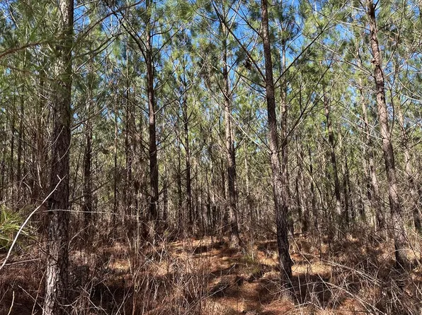 0 Chestnut Ridge Rd, Mc Cormick, SC 29835