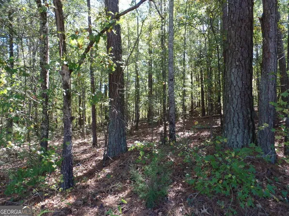 Dixon Rd, Newnan, GA 30263