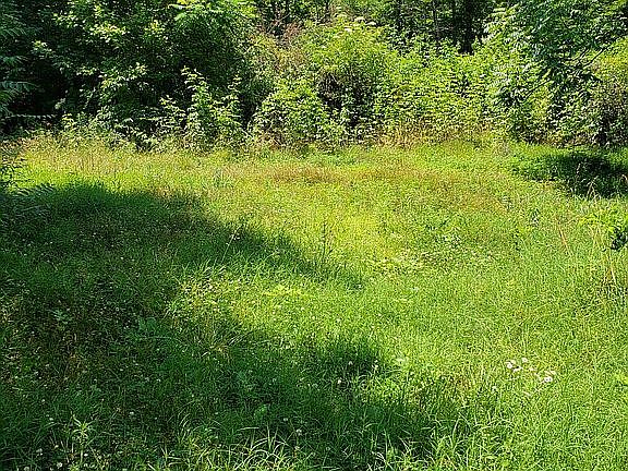 Several building spots