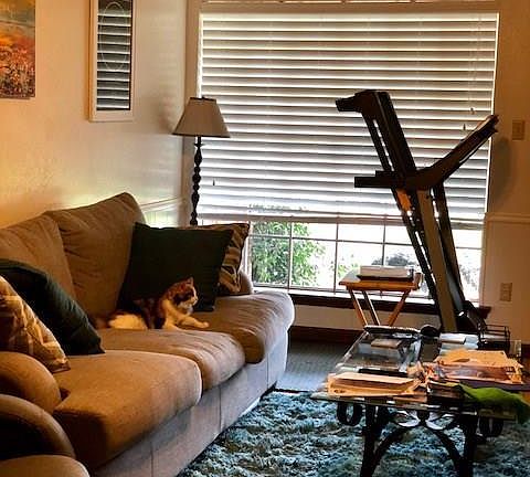 5th image of 1209 Mill Valley Dr #1211