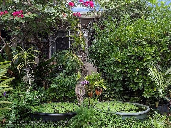 Tropical gardens of east unit back yard.