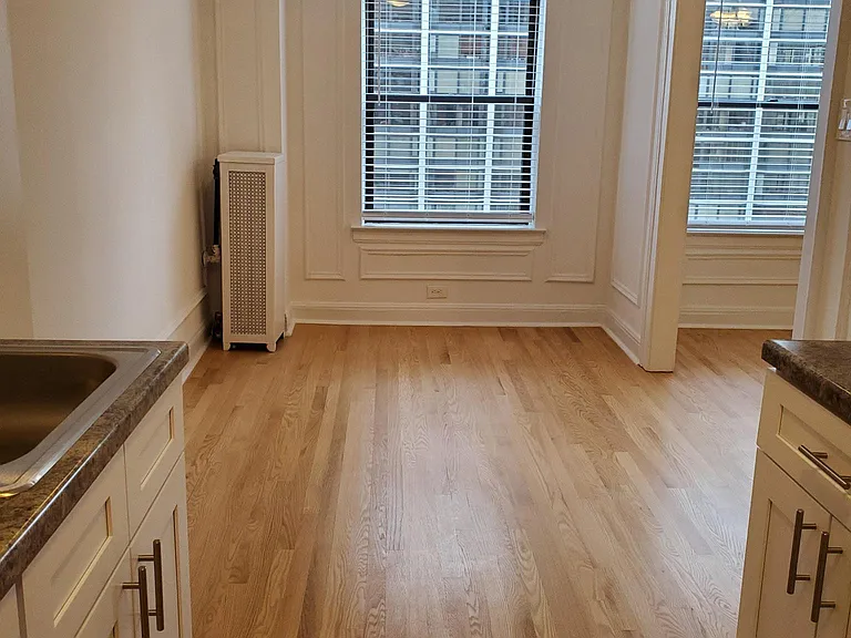 40 East Oak Street — Photo 9