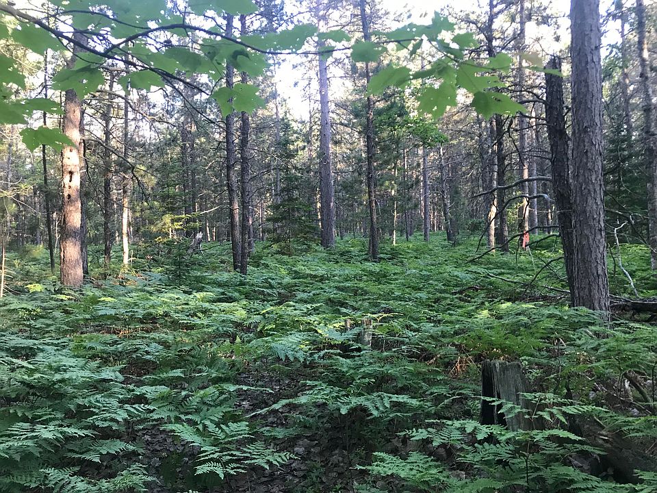 1st image of 0 Brown Trl