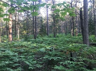 0 Brown Trl, Indian River, MI 49749