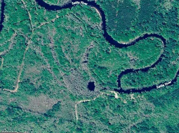 75/ACRE S Lewis Lndg, Nahunta, GA 31553