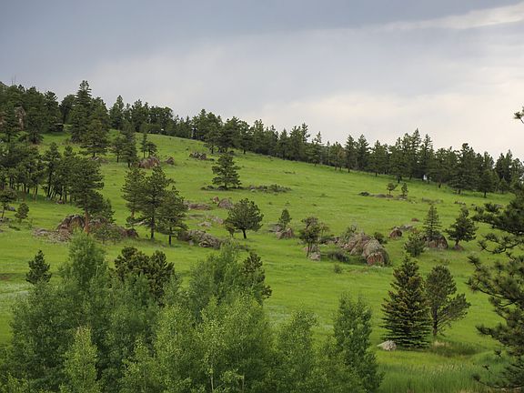3rd image of Old Flowers Rd