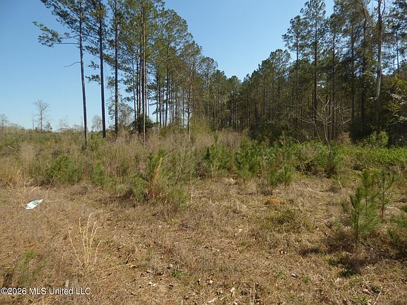 2nd image of 0 C D Rayborn Rd