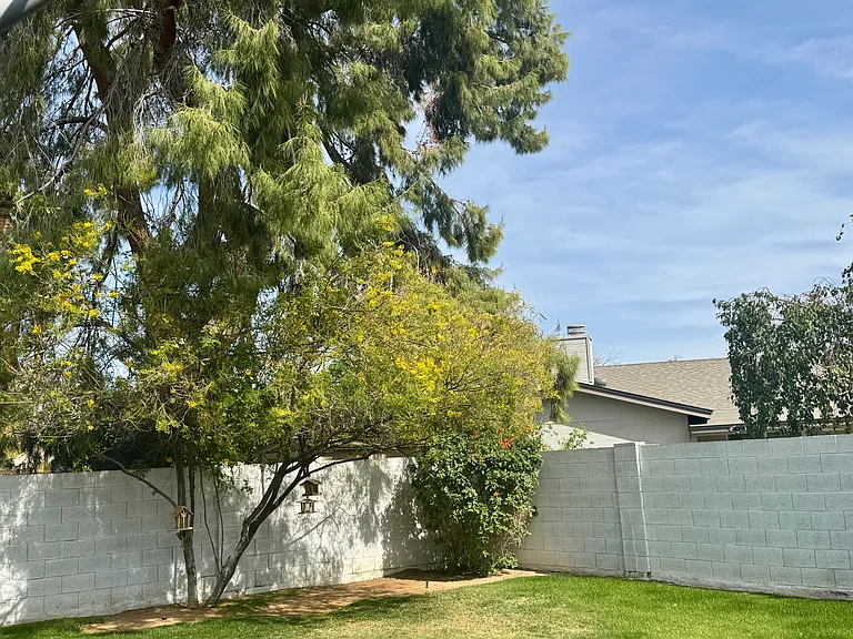 10699 E Mescal St — Photo 52