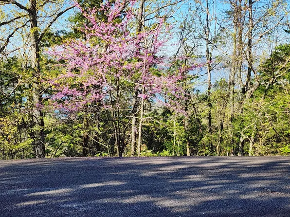 000 Shadow Ridge Lot 33 Drive, Hollister, MO 65672