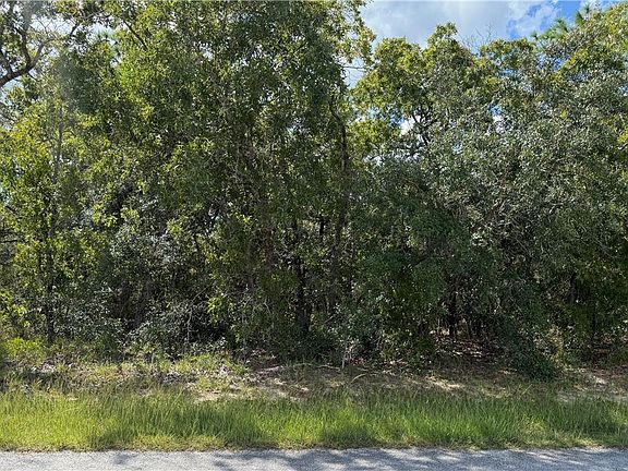 2nd image of 41 Lupine St
