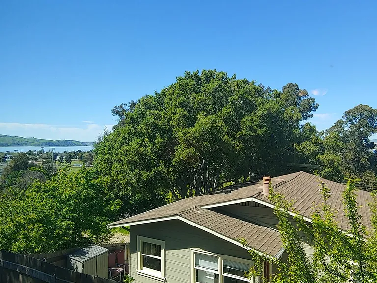 1401 Lang St — Photo 9