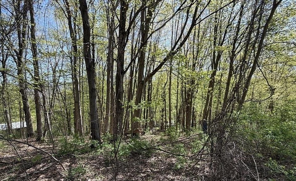 1st image of 2A-3A Reservoir Rd