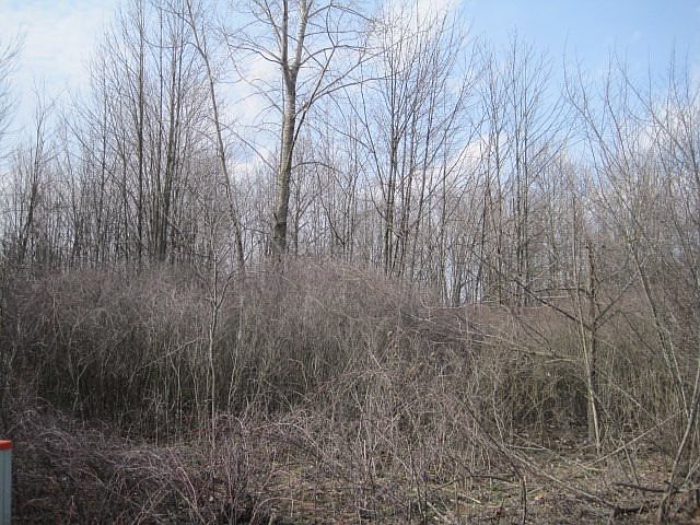 2nd image of N Fresh Air Ave
