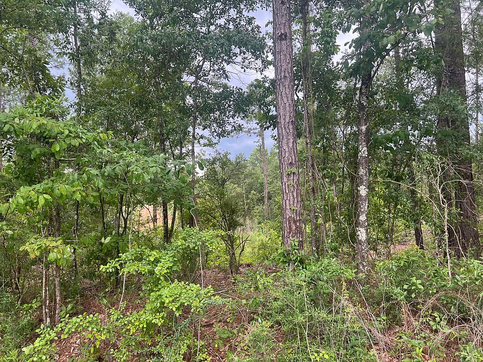 2nd image of 7 Lawler Rd