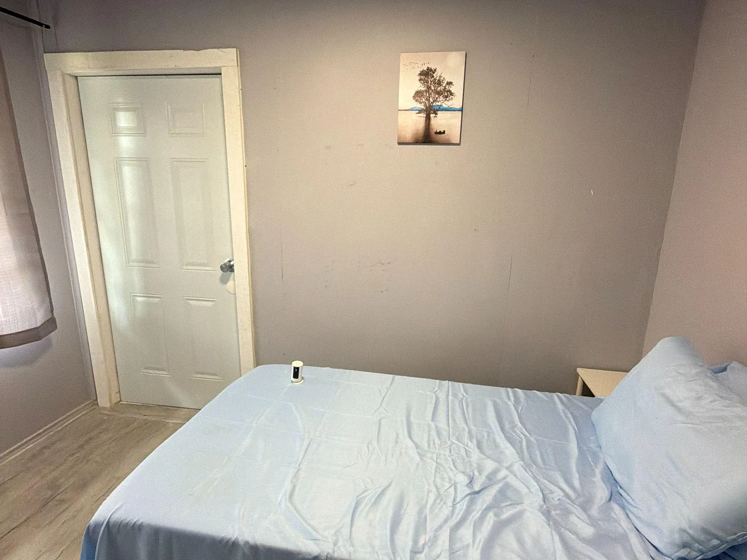 4 bed, 4.0 bath, 1906 sqft, $680 — Photo 3