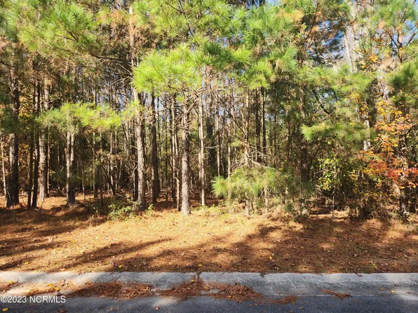 410 Timberwind Lane SE, Leland, NC 28451