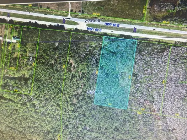 0 STATE ROAD 60 E LOT 6 ROAD N LOT 6, LAKE WALES, FL 33898