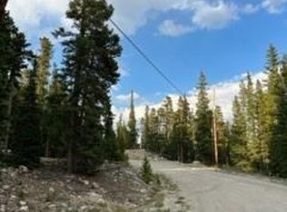 991 Bobcat Ln, Fairplay, CO 80440