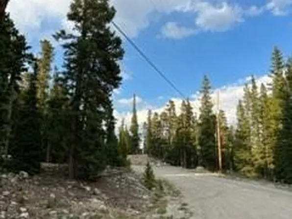 991 Bobcat Lane, Fairplay, CO 80440