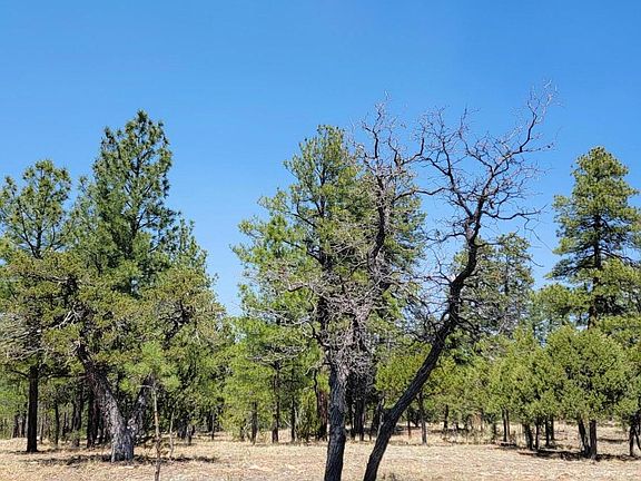 3rd image of 2965 Eagle Ridge Cir