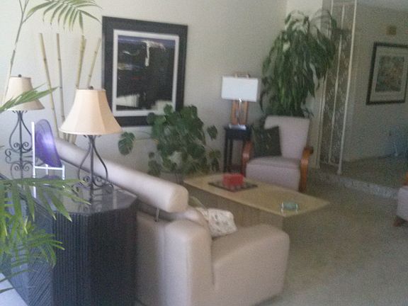 Step-down living room