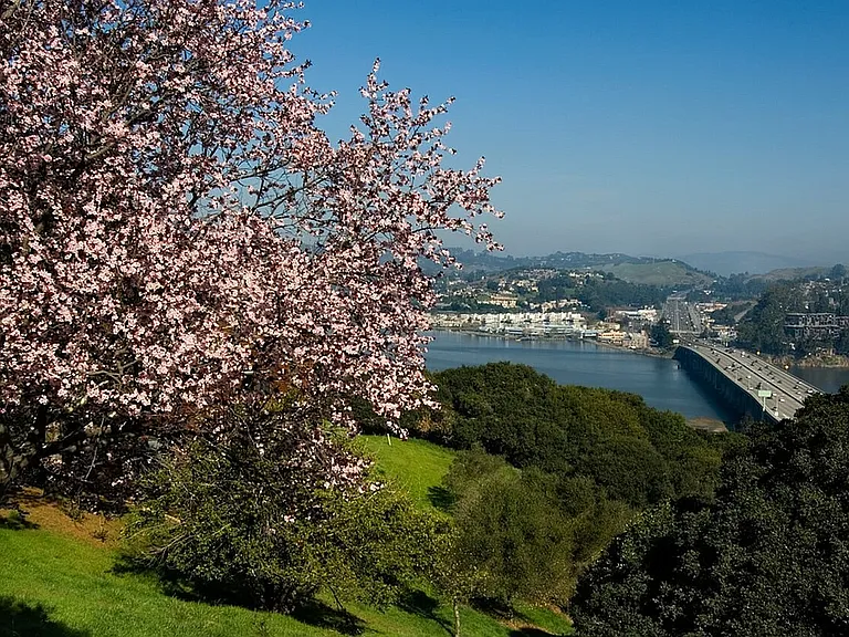 Ocean View | Summit at Sausalito | Luxury Apartments at Sausalito