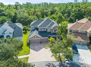 11668 Renaissance View Ct, Tampa, FL 33626