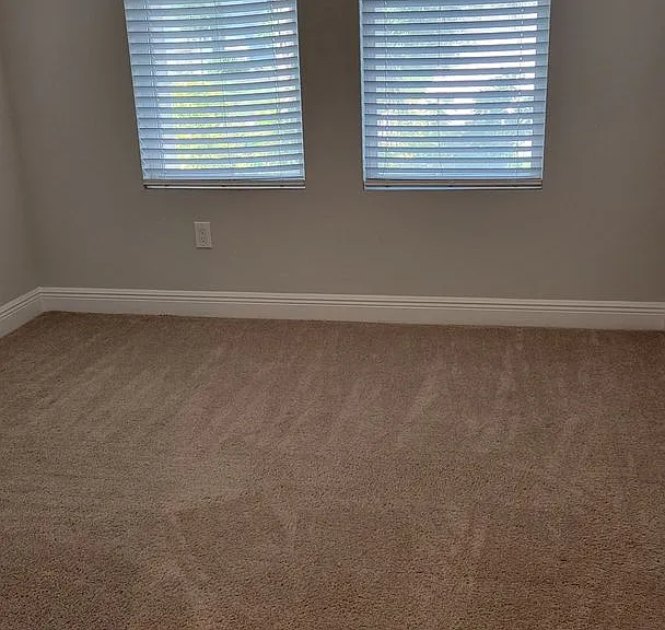 5534 Spanish Moss Cv — Photo 18