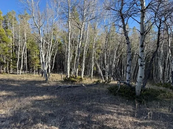 6.44 Acres Trail Rd, Casper, WY 82601