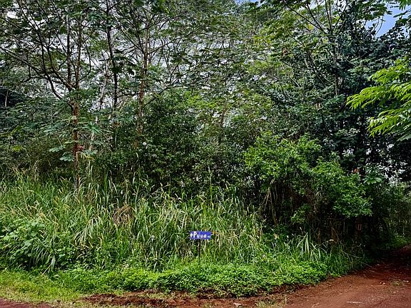 2nd image of Puua Kapoho Rd Lot 12