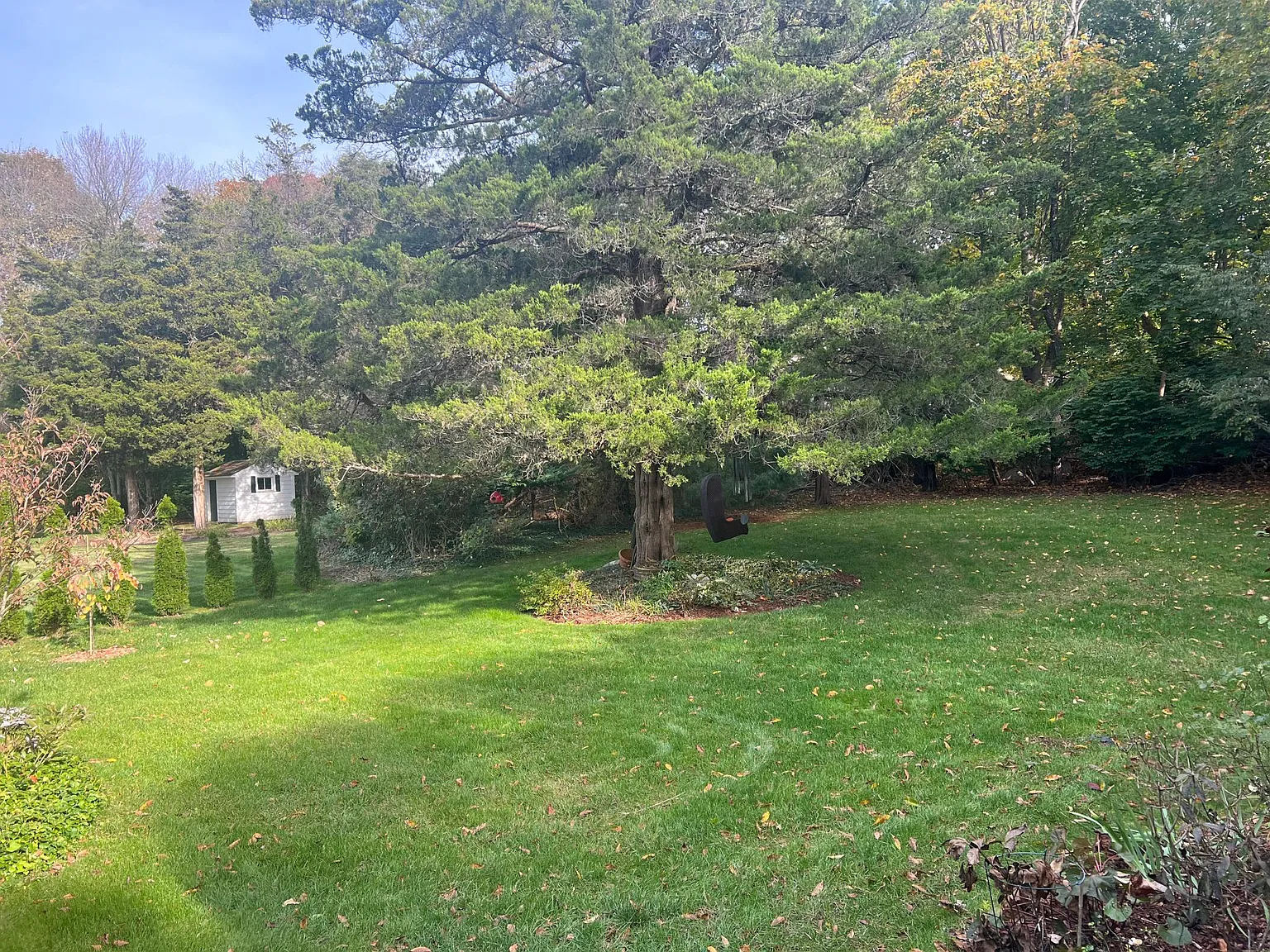 3 bed, 1950 sqft, $3,600 — Photo 3