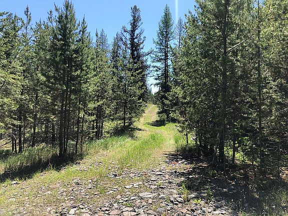 4th image of 720 Lodgepole Dr