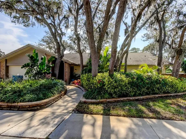 3089 Enisglen Dr, Palm Harbor, FL 34683