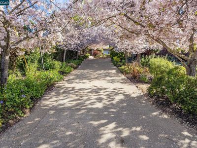 53 Van Ripper Ln, Orinda, CA, 94563