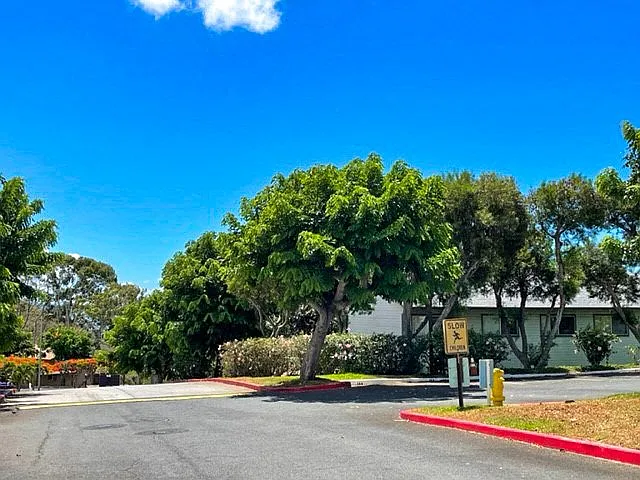 Cambridge Park Driveway
