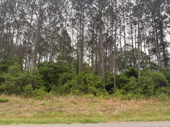 0 State Highway 256, Norman Park, GA 31771