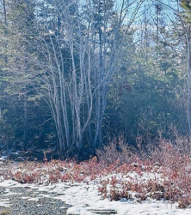 2nd image of Highway 331 Lot F2