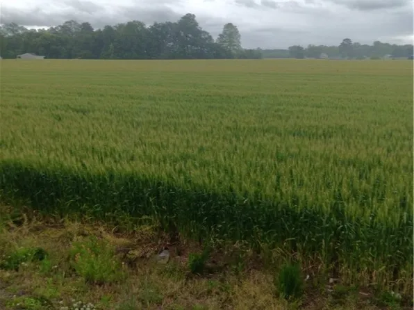 Kino Road Desha Rd, Dunnsville, VA 22454