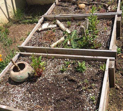 Planting beds