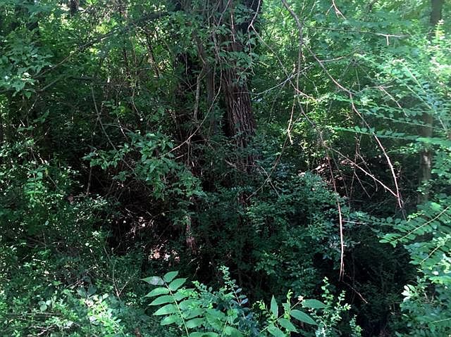 1st image of W Crestview Dr