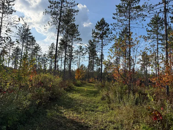 16 Acres Hwy #139, Argonne, WI 54511