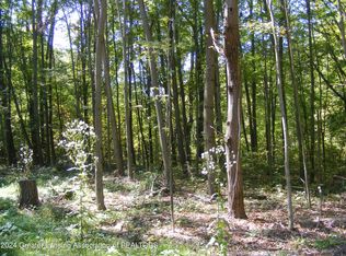 11511 Edgewood Rd, Bellevue, MI 49021